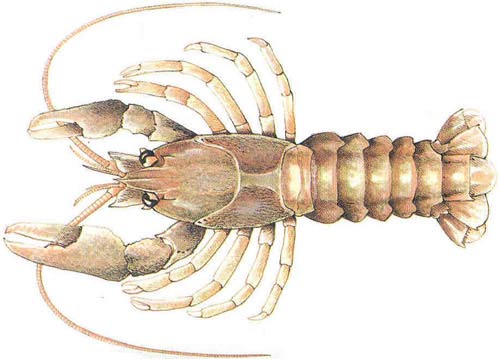 Il progetto storico